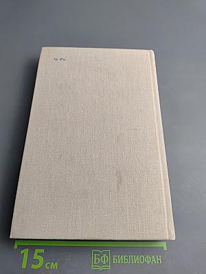 В час дня, ваше превосходительство... Том второй