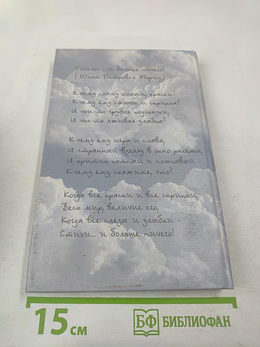 Стихи... и больше ничего