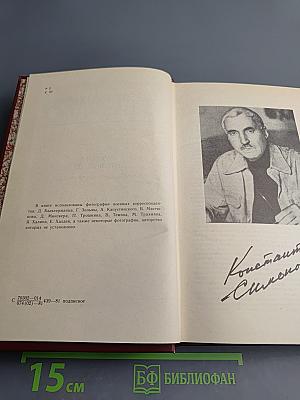 Разные дни войны. Дневник писателя. Том 1. 1941 год