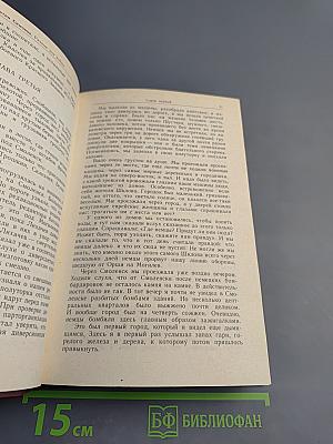 Разные дни войны. Дневник писателя. Том 1. 1941 год