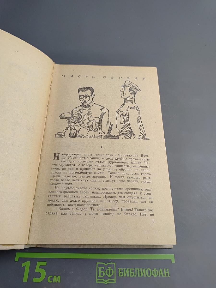 Философский камень. Книга вторая