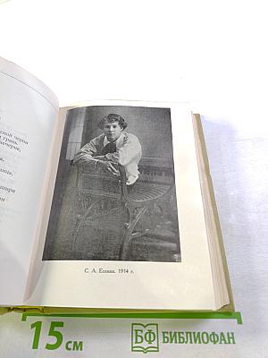 Собрание сочинений. Том 1. Стихотворения