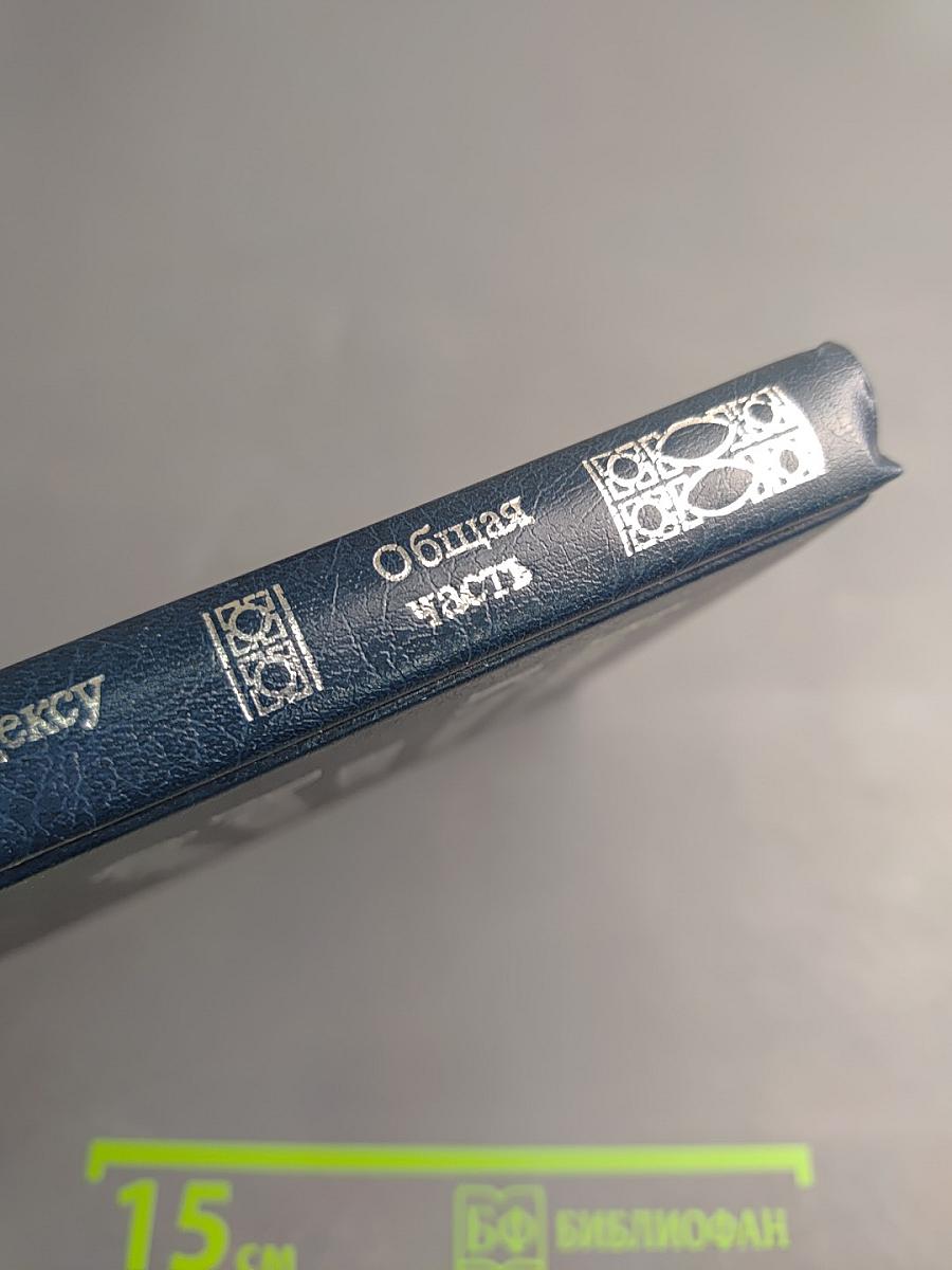 Комментарий к Уголовному кодексу Российской Федерации. Общая часть