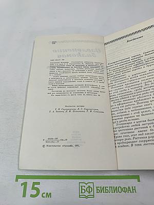 Озеленение балконов