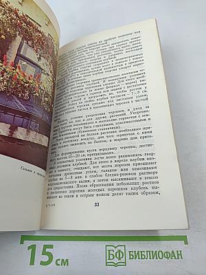 Озеленение балконов