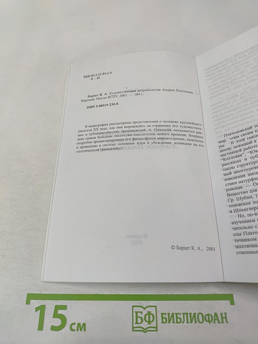 Художественная антропология Андрея Платонова
