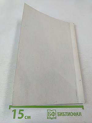 Художественная антропология Андрея Платонова