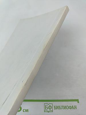 Художественная антропология Андрея Платонова