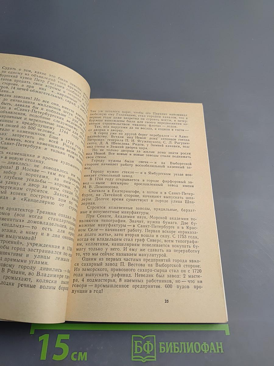 Город над Невой