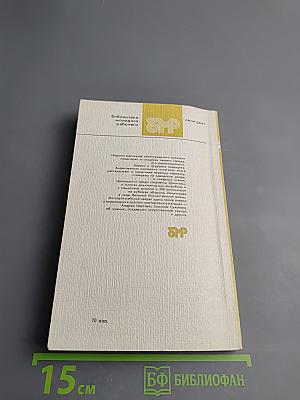 Город над Невой