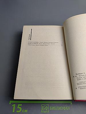 Ночью в дождь... Детективы