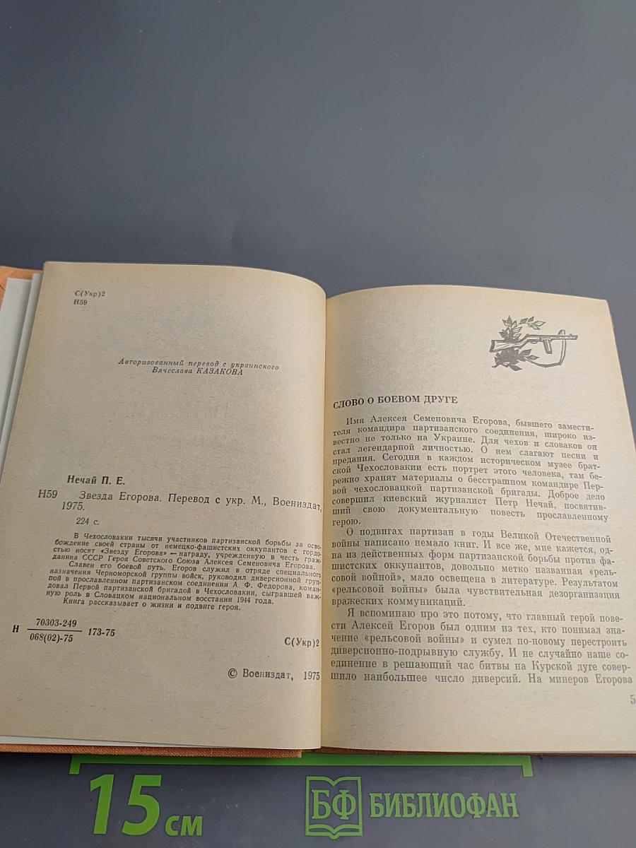 Звезда Егорова