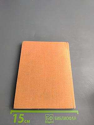 Звезда Егорова