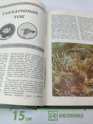 Юный натуралист