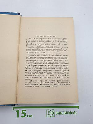 Записки писателя