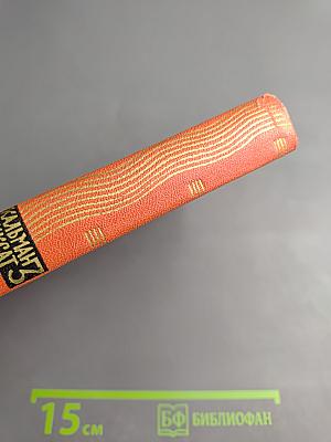 Собрание сочинений. Том третий. Осада Бестерце. Зонт святого Петра