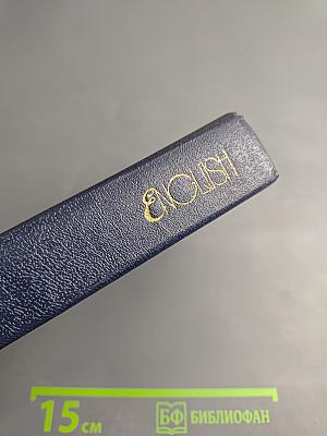 English for Older Children