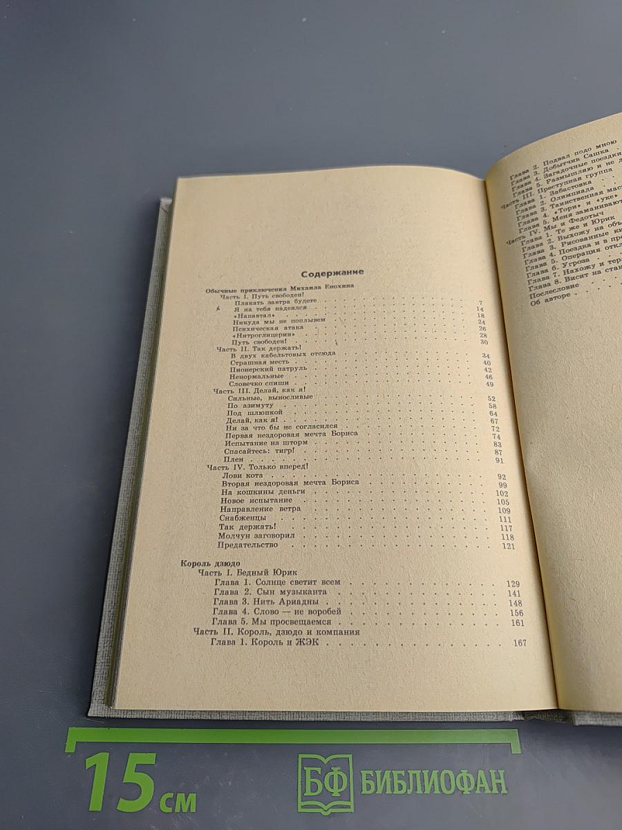 Король Дзэндо. Повести: Обычные приключения Михаила Енохина