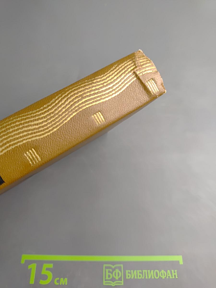 Черный город (Собрание сочинений, Том 6)