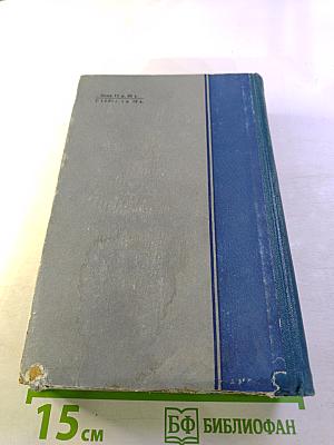 Лицом к лицу