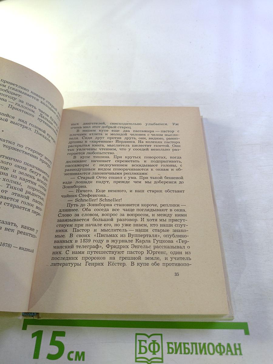 Весна гения. Опыт литературного портрета