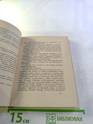 Весна гения. Опыт литературного портрета