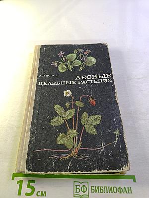 Лесные целебные растения