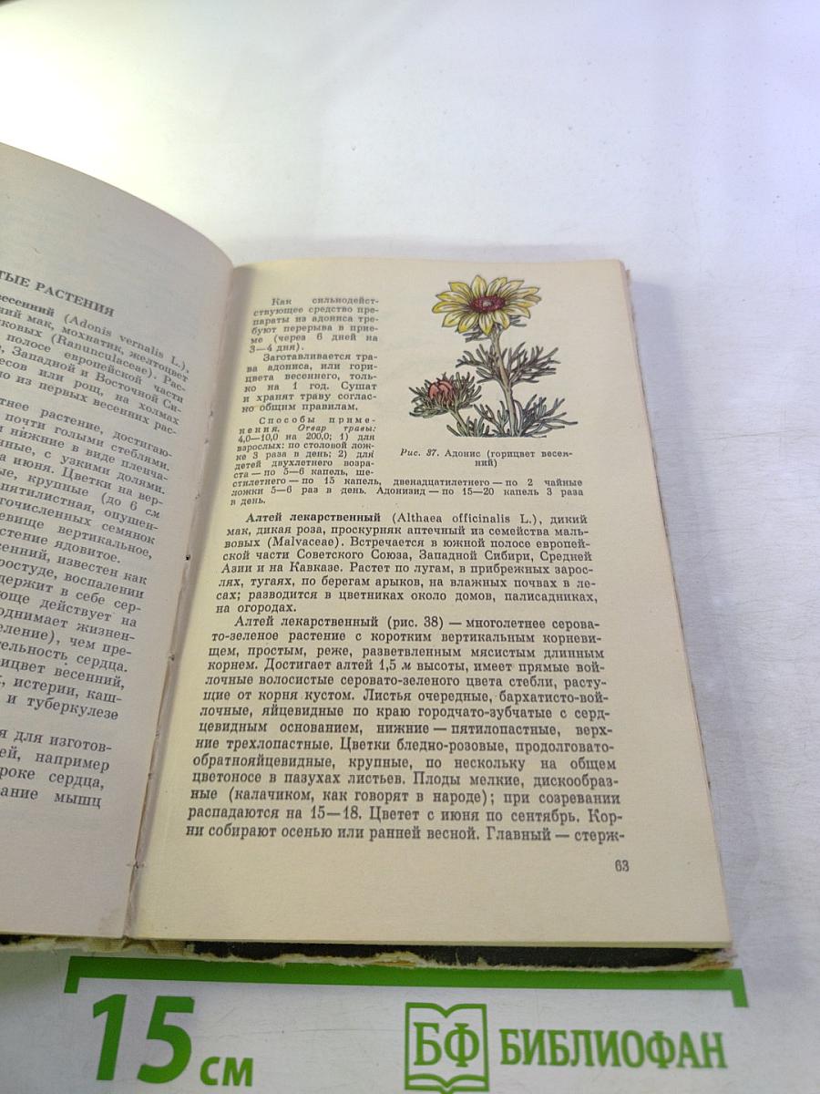 Лесные целебные растения