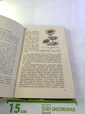 Лесные целебные растения