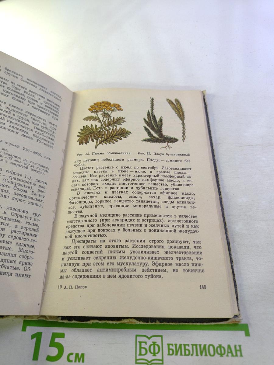 Лесные целебные растения