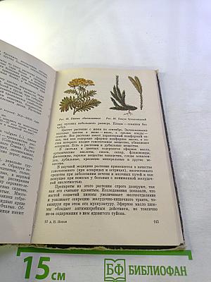 Лесные целебные растения