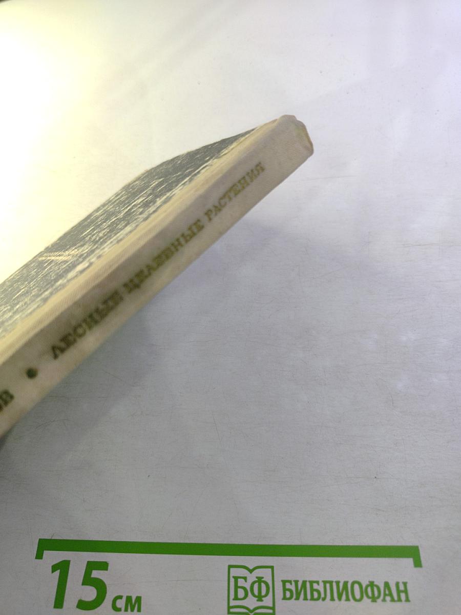 Лесные целебные растения