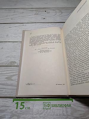 Огневой меч Ленинграда