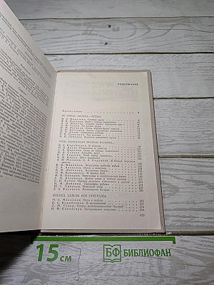 Огневой меч Ленинграда