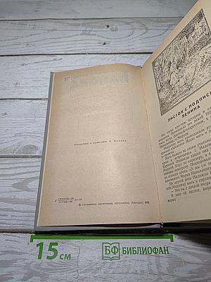 Конспект романа. Повести и рассказы