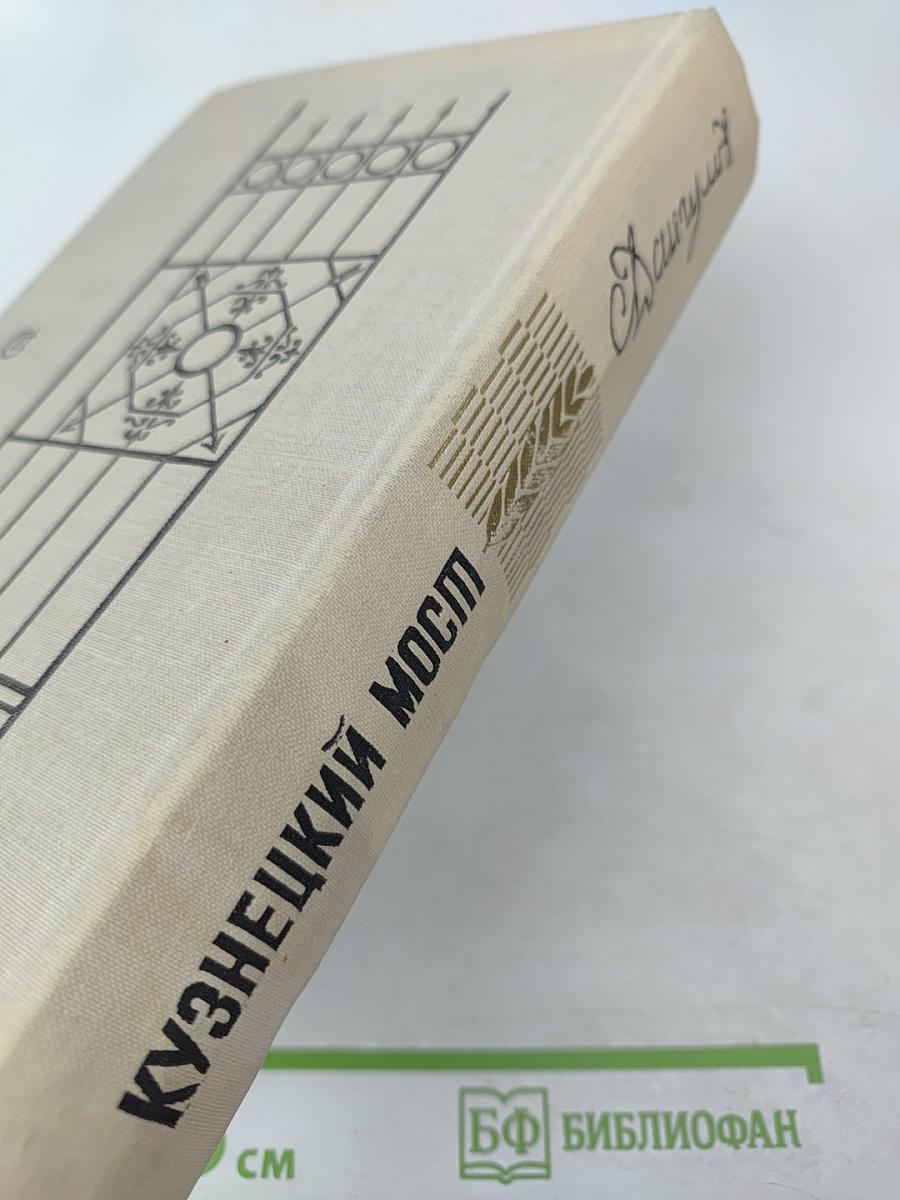Кузнецкий Мост. Роман. Первая и вторая книги