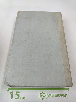 Виконт де Бражелон