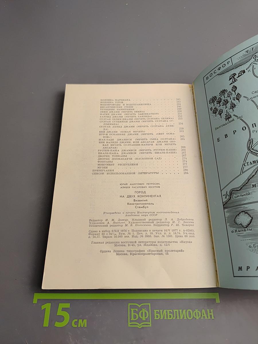 Город на двух континентах