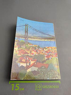 Город на двух континентах