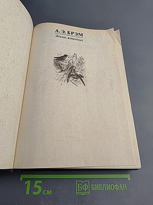 Жизнь животных. Том II. Птицы