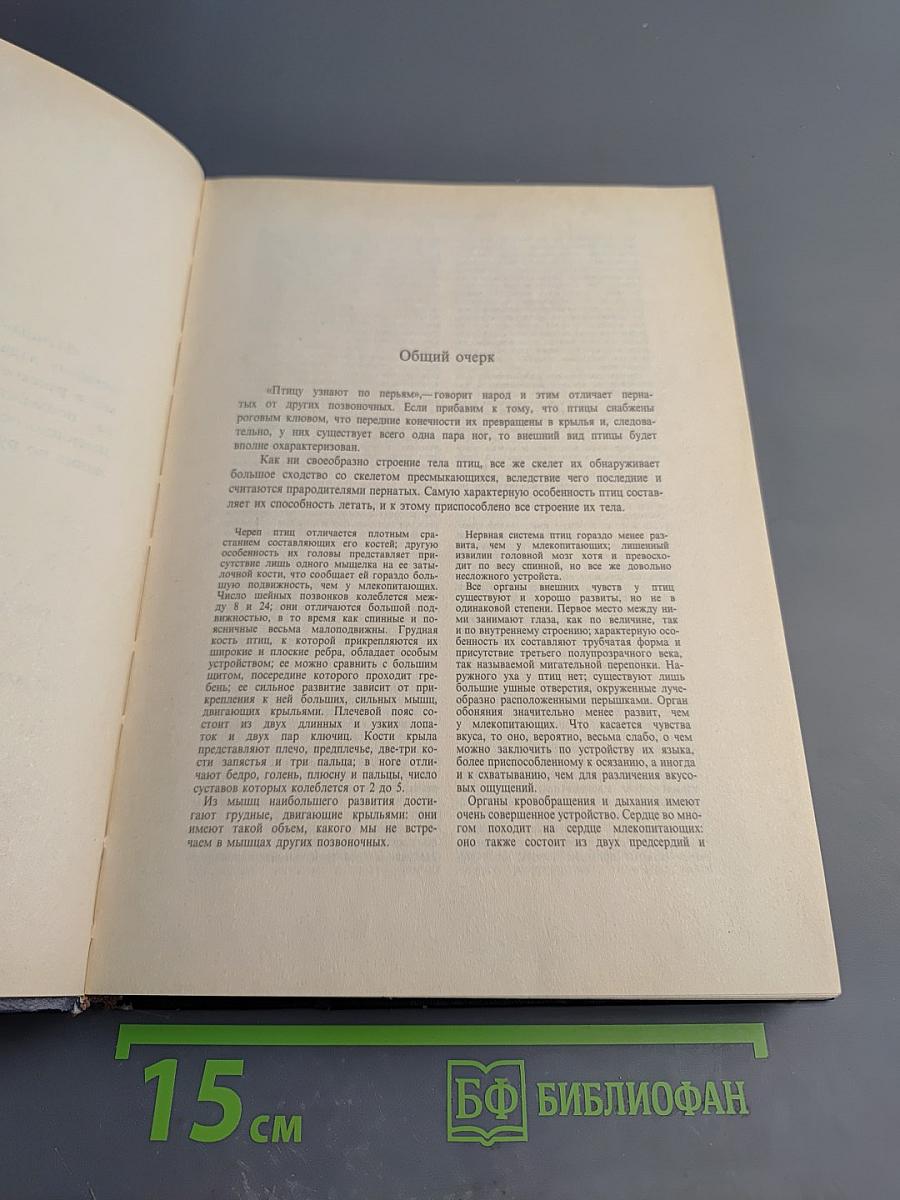 Жизнь животных. Том II. Птицы