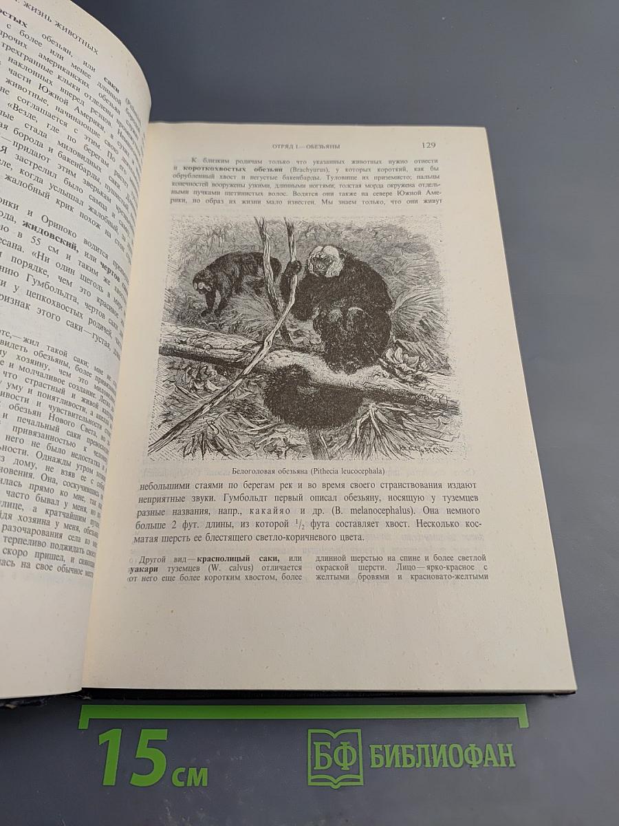 Жизнь животных. Том 1. Млекопитающие