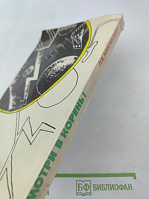 Смотри в корень!