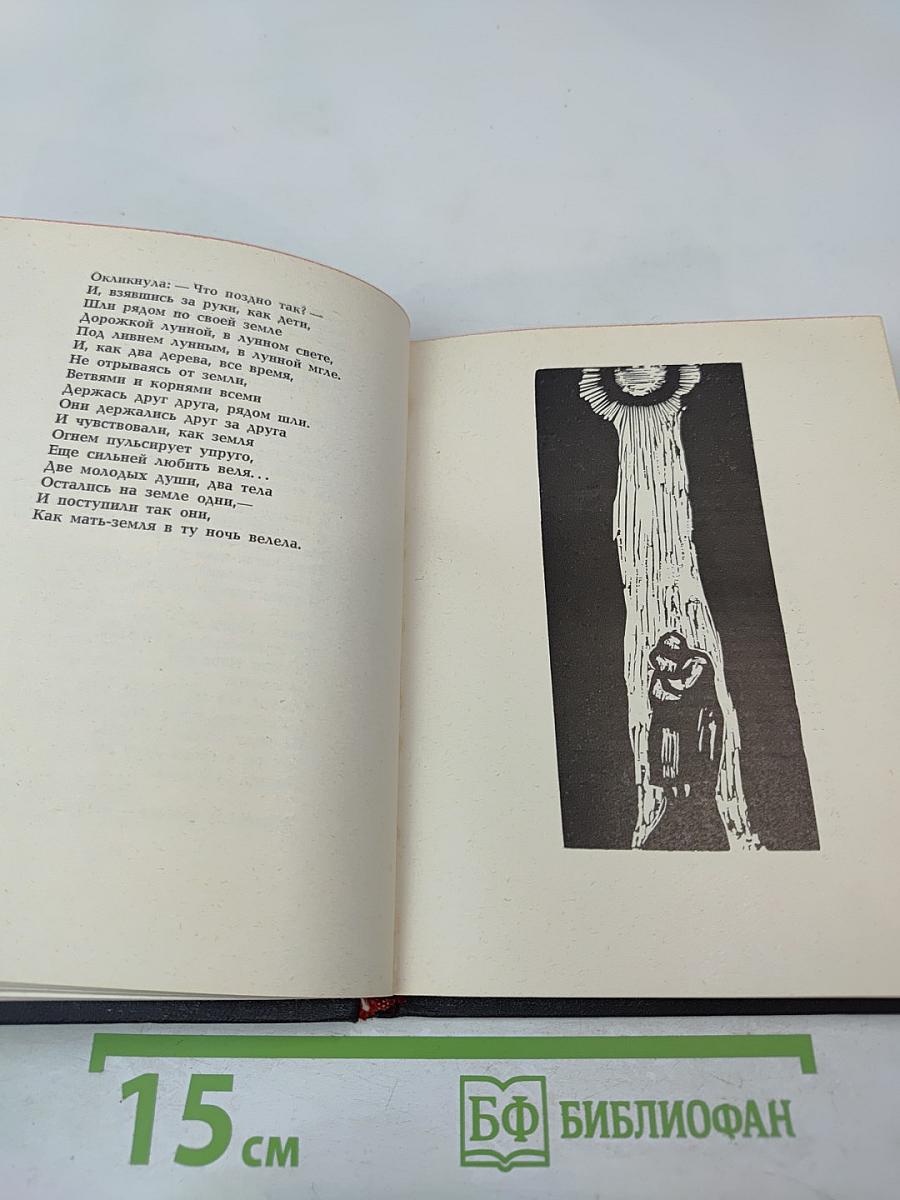 Кровь и пепел