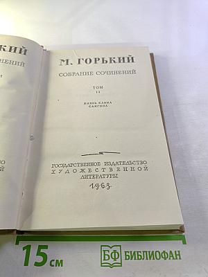 Собрание сочинений. Том 14: Жизнь Клима Самгина