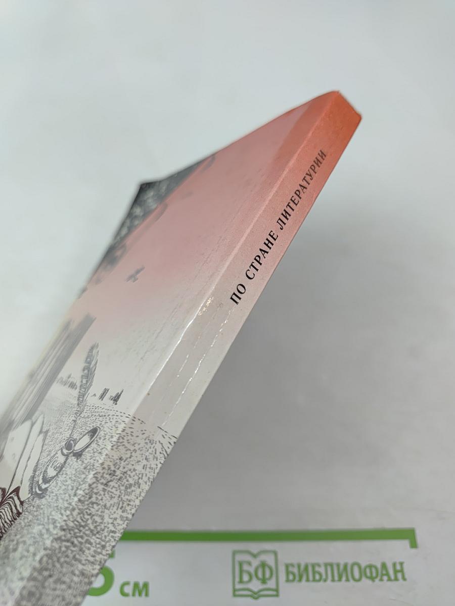 По стране литературы: Этюды