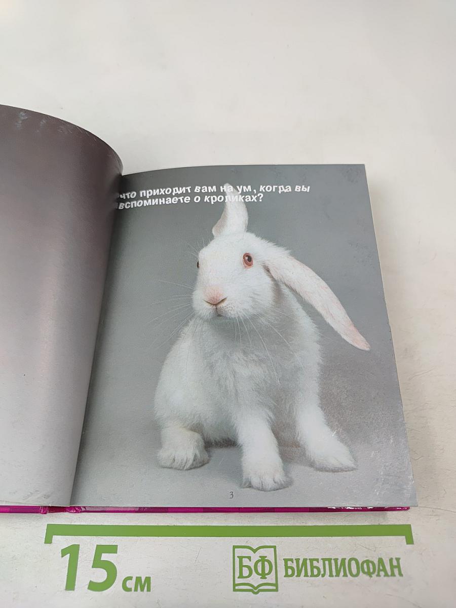 Будь счастлив в год кролика!