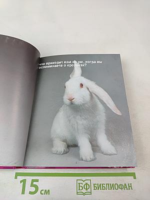 Будь счастлив в год кролика!