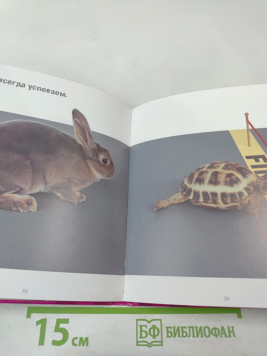 Будь счастлив в год кролика!