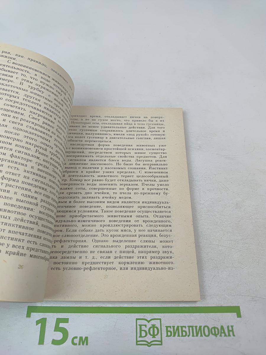 Познание и деятельность